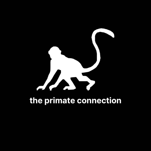 The Primate Connection | Neuroscience and Biohacking Latest Blog
